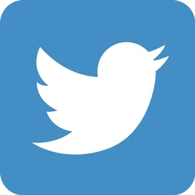 X / Twitter